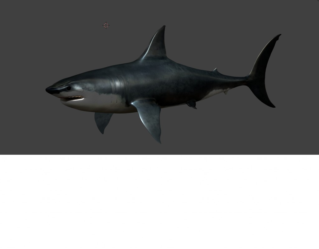 white shark preview image 1